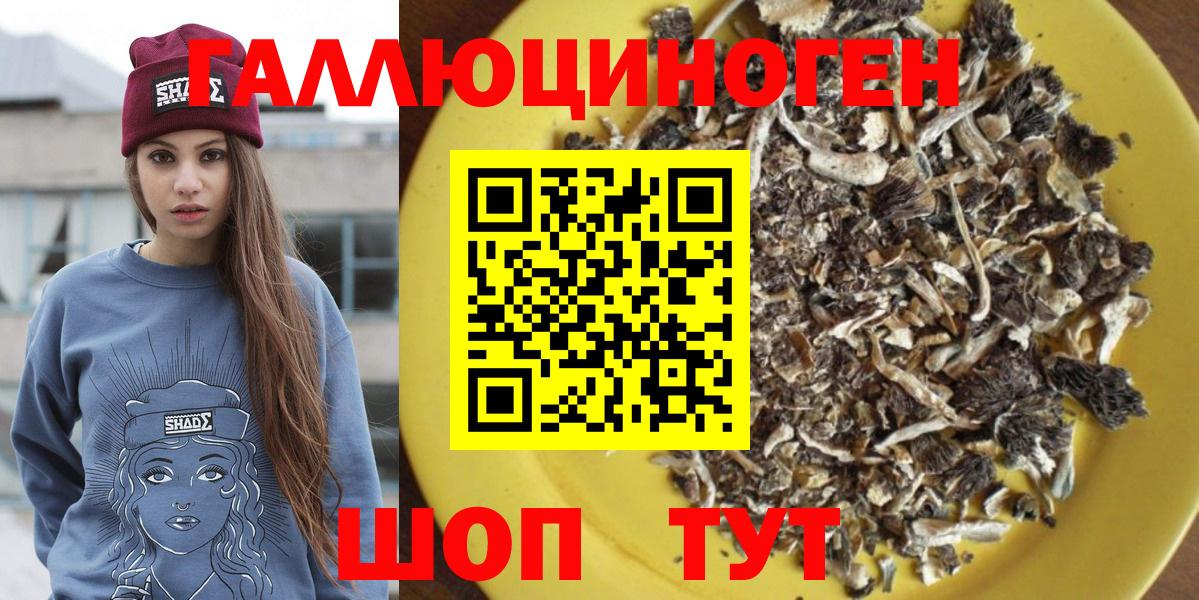 Изобильный  сколько стоит  Вход с VPN  Галлюциногенные грибы Psilocybe 